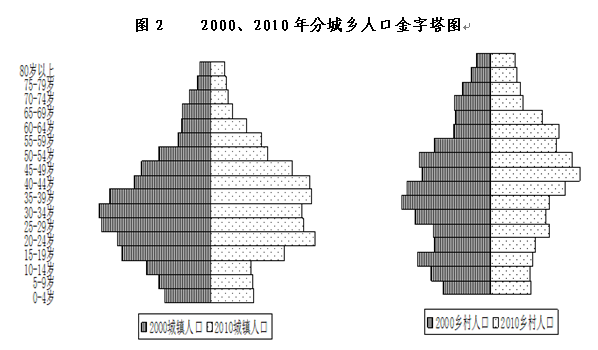 第六次人口普查金字塔_第六次人口普查调查表(3)