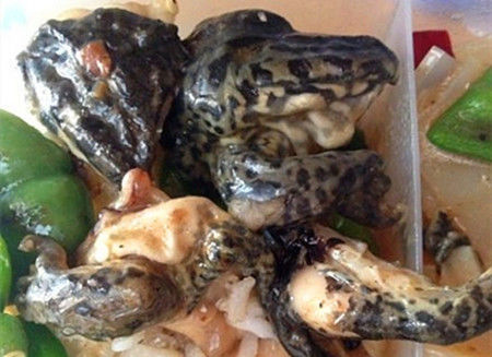 上海财经大学：椒盐香脆小馄饨