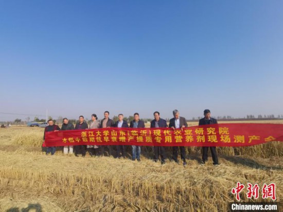 浙江大学成果在临沂落地“真打粮”可使水稻亩增产83斤
