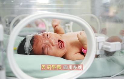 本网特稿：盘点开学七宗“最”(组图)