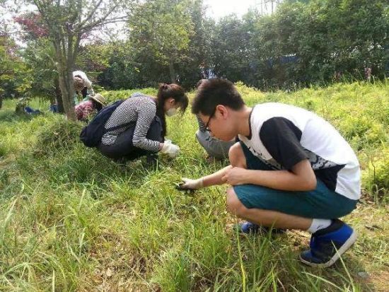 想毕业先拔草